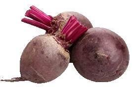 beetroot