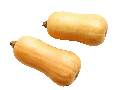 butternutsquash