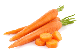 carrot