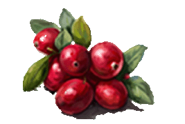 cranberry