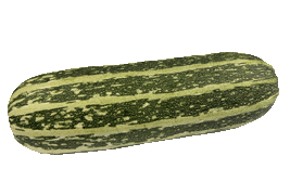 marrow