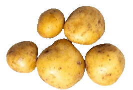 potato