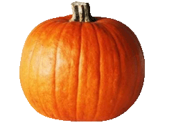 pumpkin