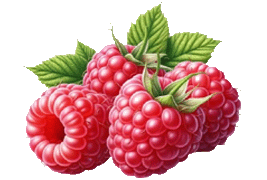 raspberry