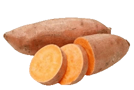 sweetpotato