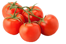 tomato