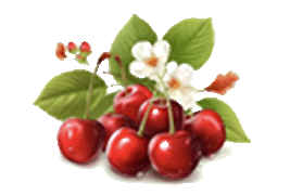 wildcherry