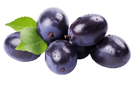 Fruit Wines